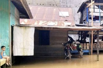 Sungai Mentaya meluap, enam desa di Kotawaringin Timur terendam banjir