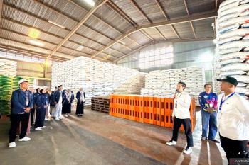 Kiprah Bulog mengawal ketahanan pangan di utara Indonesia