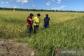 Pemkab Murung Raya promosikan potensi daerah lewat Kalteng Expo 2026