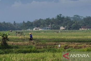 Sumedang siapkan irigasi tersier di 75 titik antisipasi El Nino
