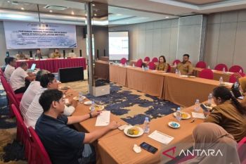 Pertamina sebut stok LPG nonsubsidi di Papua Barat capai 9.155 tabung