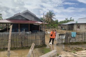 Sebanyak 66 KK terdampak banjir di Parigi Moutong