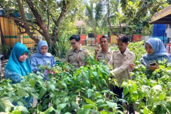 Warga Pulau Kelapa diajak bangun ketahanan pangan lewat urban farming