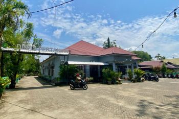 Pemkab Tapin waspadai hama tikus dan burung ancam produksi padi