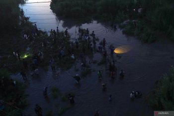 Tradisi berburu ikan pladu di Sungai Brantas