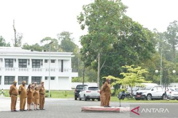 Wabup Mimika: OPD percepat realisasi anggaran 2026
