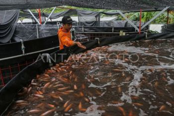 IHSG Senin ini dibuka melemah 94,34 poin