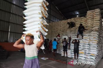 Penyaluran beras bantuan menembus isolasi dan kerawanan Papua