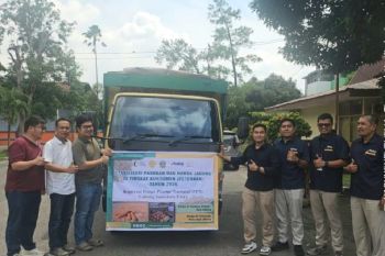 Bulog Sumut mulai salurkan jagung SPHP ke peternak ayam petelur