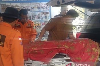 BPBD: Ibu yang terseret longsor di Tapsel ditemukan meninggal, anak masih dicari