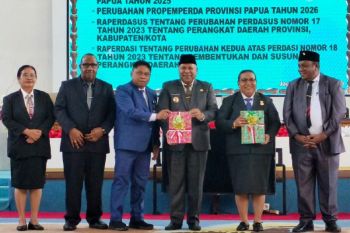 DPR minta Pemprov Papua tindaklanjuti rekomendasi LKPJ dalam 30 hari
