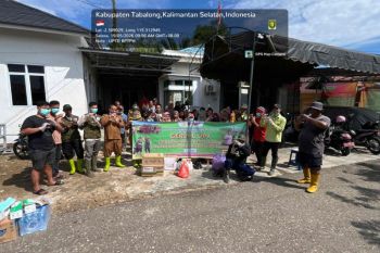 Gerdal tikus sasar ratusan hektare lahan pertanian Desa Jirak Tabalong