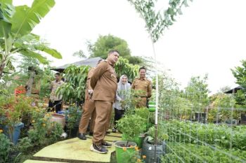 Wali Kota Makassar instruksikan hasil "urban farming" bisa pasok kebutuhan MBG