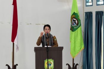 Pemkot Singkawang dukung pengembangan industri kreatif berkelanjutan