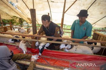 Tim siaga diturunkan guna periksa hewan kurban di Cianjur