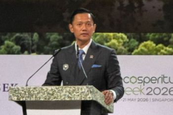 Indonesia plans 575-km Giant Sea Wall to protect economy: AHY
