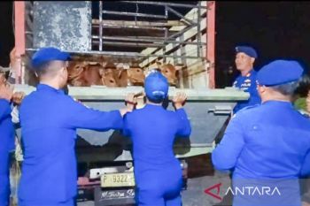 Polres Situbondo perketat lalu lintas hewan ternak jelang Idul Adha