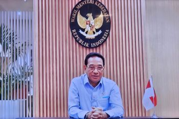 Wamenkes: Layanan yang manusiawi lengkapi transformasi kesehatan