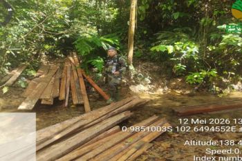 Balai Gakkum Sumatera tetapkan tersangka perambahan liar di TNBT Riau