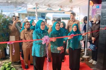Kabupaten OKU luncurkan Sekolah Lansia di Kelurahan Sukaraya