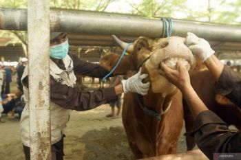 Pemkab Tulungagung masifkan pemeriksaan kesehatan hewan kurban