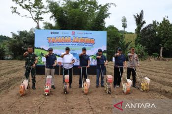Pupuk Kaltim dukung ketahanan pangan lewat Project Agrosolution