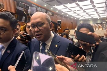 Rosan: Pembentukan DSI mencegah potensi "uang gelap" pada ekspor SDA