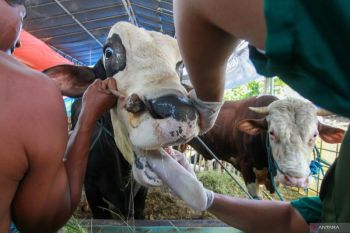 Sinergi Pemkot Surabaya bersama PT Pelindo Terminal Petikemas