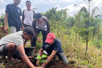 Harkitnas, Pertamina Patra Niaga dorong kemandirian petani kopi Sembalun
