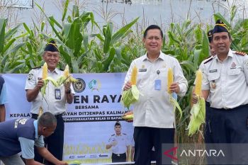 Ditjenpas Kalsel aksi nyata wujudkan ketahanan pangan pemasyarakatan