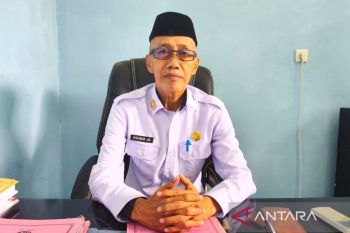 Pemkab siapkan bantuan pupuk gratis 37,5 ton bagi petani cengkih di Kolaka
