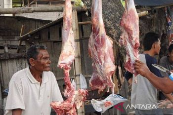 Persediaan unggas meugang Idul Adha di Aceh Timur capai 76 ribuan ekor