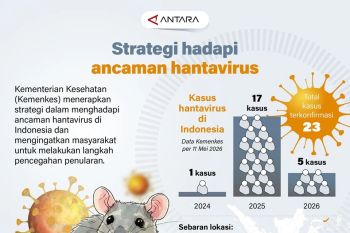 Strategi hadapi ancaman hantavirus