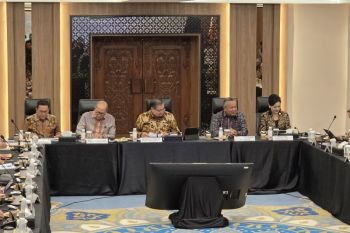 BI izinkan mata uang selain dolar buat penempatan DHE SDA
