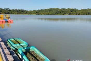 Puluhan satwa endemik Kalimantan berkembang biak di area pascatambang Adaro