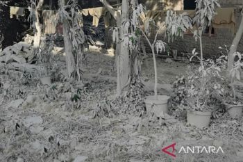 Kebocoran bahan baku semen sebabkan "hujan abu" di Kemang Kabupaten Bogor