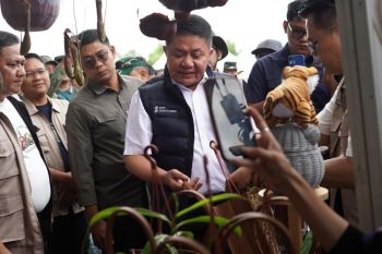 Gubernur Herman Deru ajak generasi muda jaga kelestarian hutan