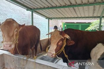 Disnakertrans Kulon Progo peringati Hari Buruh dengan kearifan lokal