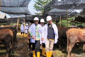 Pemprov DKI sebut antraks jadi ancaman utama hewan kurban