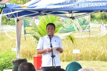 Pemkot Palangka Raya perkuat ketahanan pangan