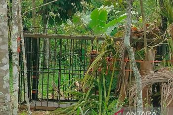 KPPBC Mataram Gagalkan Penyelundupan 2,6 Kilogram Shabu