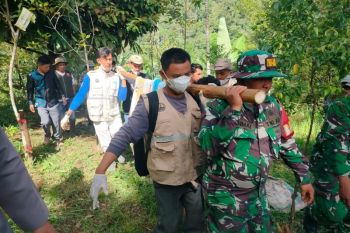BKSDA Sumbar evakuasi harimau masuk kandang jebak di Agam