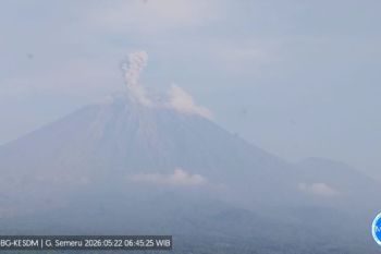 Gunung Semeru erupsi dengan tinggi letusan 1.000 meter pada Jumat pagi