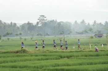 BPBD DIY siapkan Rp14 miliar untuk tangani bencana hidrometeorologi