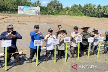 BRMP Kalsel dan DKPPP Tabalong tanam perdana PM-AAS di  Desa Jaro