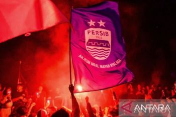 Prediksi Persib VS Persijap dan Borneo FC VS Malut United di laga terakhir liga