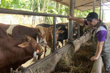 Pemkot Batam sediakan layanan jasa sembelih hewan kurban