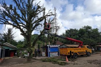 Pemkab Bartim bersama masyarakat benahi jalan dan pohon di Jaweten