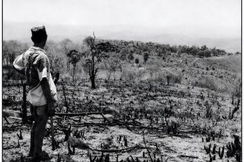 Islam, Hutan, dan Babi Hutan: Membaca Ekologi Keagamaan Orang Sumbawa