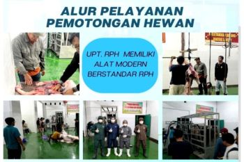 Distan Barut buka layanan pemotongan hewan melalui UPT RPH Modern